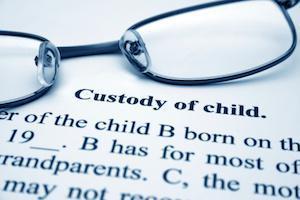 child custody, divorce, parenting time, visitation, paternity, evaluator, guardian ad litem